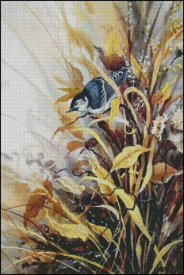 (image for) Wren in Pods